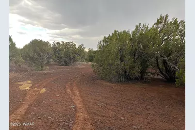 34 County Road 8406, Vernon, AZ 85940 - Photo 2