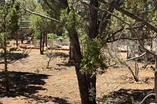 1495 Shade Tree Dr, Heber, AZ 85928 - Photo 52