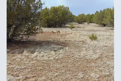 34 N3124, Vernon, AZ 85940 - Photo 22