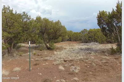 34 N3124, Vernon, AZ 85940 - Photo 4