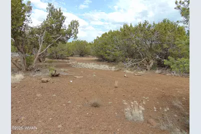 34 N3124, Vernon, AZ 85940 - Photo 2