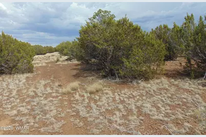 34 N3124, Vernon, AZ 85940 - Photo 6