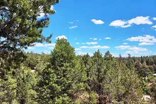 1920 Aspen Ln, Overgaard, AZ 85933 - Photo 18