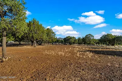 61 County Road 3114, Vernon, AZ 85940 - Photo 44
