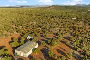 61 County Rd 3114, Vernon, AZ 85940 - Photo 42