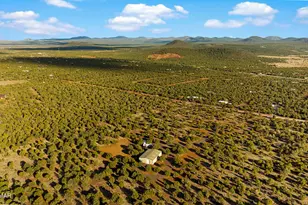61 County Rd 3114, Vernon, AZ 85940 - Photo 54