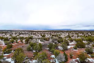 0 Dusty Rose Ranch Rd #A 16 Acre, Seligman, AZ 86337 - Photo 1