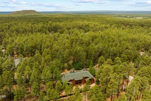 2773 Buck Crossing Way, Pinetop, AZ 85935 - Photo 46