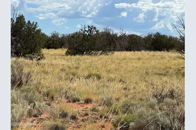 2445 Athapascan Drive, Heber, AZ 85928 - Photo 2