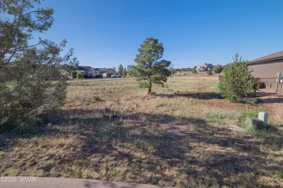 981 S Lorenzo Sitgreaves Drive, Show Low, AZ 85901 - Photo 2