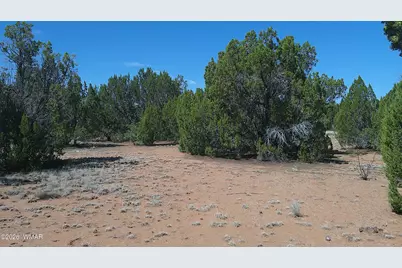 Tbd Concho Valley Lot 3, Concho Valley, AZ 85924 - Photo 1