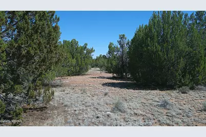 Tbd Concho Valley Lot 3, Concho Valley, AZ 85924 - Photo 6
