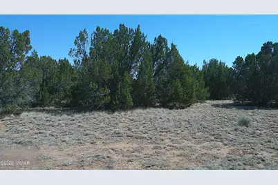Tbd Concho Valley Lot 3, Concho Valley, AZ 85924 - Photo 2