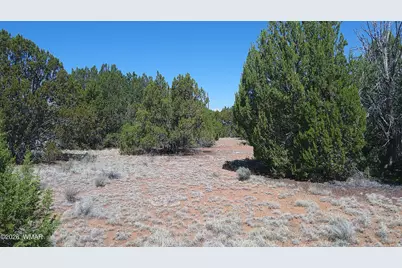 Tbd Concho Valley Lot 3, Concho Valley, AZ 85924 - Photo 4