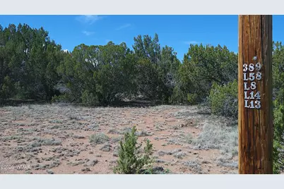 Tbd Concho Valley Lot 3, Concho Valley, AZ 85924 - Photo 8