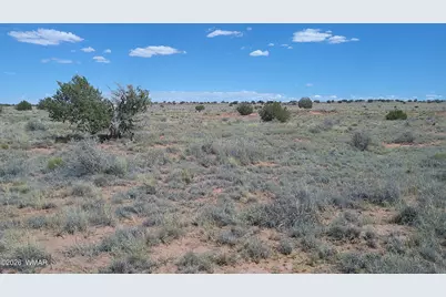 8356 Holly Trail, Snowflake, AZ 85937 - Photo 12