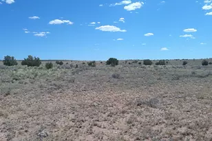 8356 Holly Trail, Snowflake, AZ 85937 - Photo 1