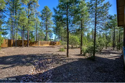 3590 W Black Oak Loop, Show Low, AZ 85901 - Photo 34