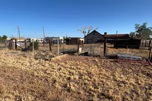 331 W 1000 St, Taylor, AZ 85939 - Photo 8