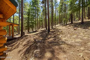 30 N1068, Greer, AZ 85927 - Photo 42