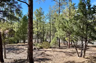 901 E Cedar Ridge Run, Show Low, AZ 85901 - Photo 1