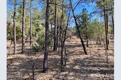901 E Cedar Ridge Run, Show Low, AZ 85901 - Photo 4