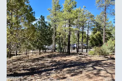 901 E Cedar Ridge Run, Show Low, AZ 85901 - Photo 2