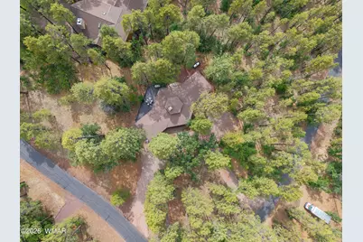 2379 Sunflower Drive, Pinetop, AZ 85935 - Photo 28