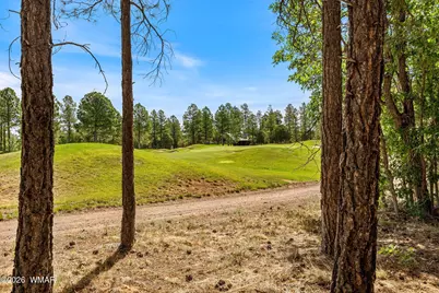 4160 W Sugar Pine Loop, Show Low, AZ 85901 - Photo 28