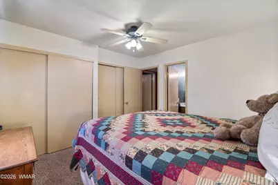 12 Cr 2044, Alpine, AZ 85920 - Photo 12