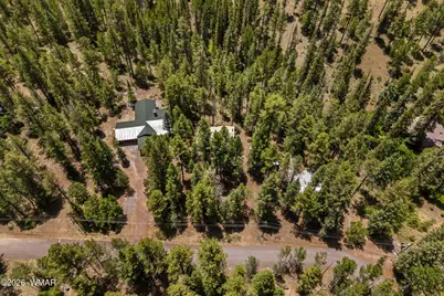 12 Cr 2044, Alpine, AZ 85920 - Photo 26