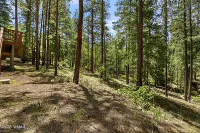 12 Cr 2044, Alpine, AZ 85920 - Photo 32