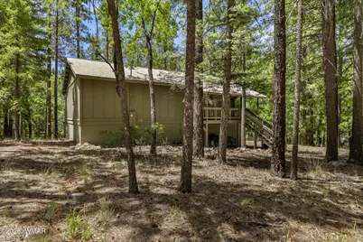 12 Cr 2044, Alpine, AZ 85920 - Photo 30