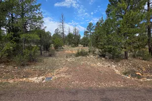 3332 Saw Mill Ridge Loop, Heber, AZ 85928 - Photo 1