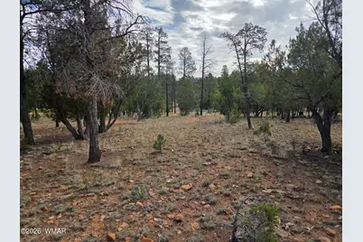 3332 Sawmill Ridge Loop, Heber, AZ 85928 - Photo 10