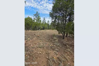 3332 Sawmill Ridge Loop, Heber, AZ 85928 - Photo 8