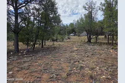 3332 Sawmill Ridge Loop, Heber, AZ 85928 - Photo 6