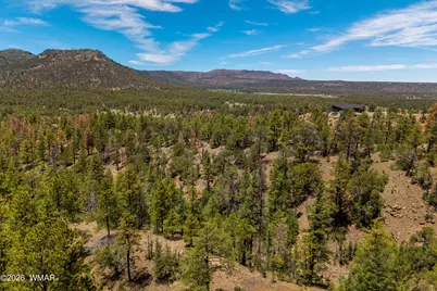 34 Cr 2279, Nutrioso, AZ 85932 - Photo 6