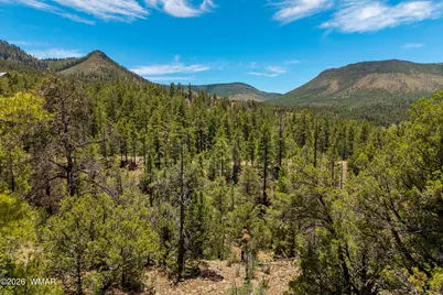 34 Cr 2279, Nutrioso, AZ 85932 - Photo 2