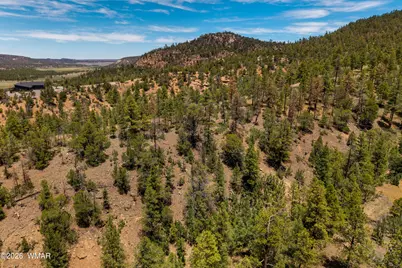 34 Cr 2279, Nutrioso, AZ 85932 - Photo 4
