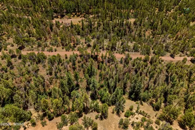34 Cr 2279, Nutrioso, AZ 85932 - Photo 18