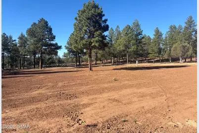 859 White Mountain Drive, Show Low, AZ 85901 - Photo 22