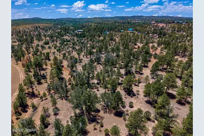 859 White Mountain Drive, Show Low, AZ 85901 - Photo 6