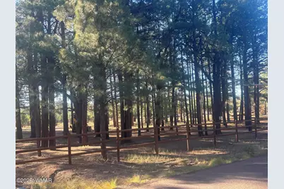 859 White Mountain Drive, Show Low, AZ 85901 - Photo 10