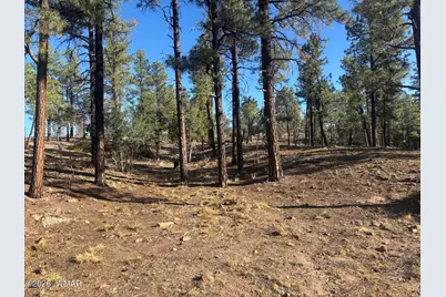 859 White Mountain Drive, Show Low, AZ 85901 - Photo 16