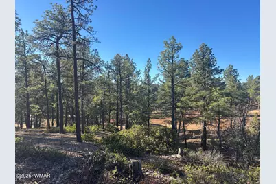 859 White Mountain Drive, Show Low, AZ 85901 - Photo 20