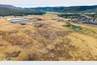 216 Cr 2311, Alpine, AZ 85920 - Photo 44