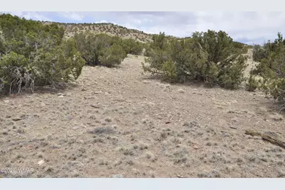 88B County Road 5035, Concho, AZ 85924 - Photo 6