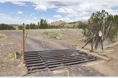88B County Road 5035, Concho, AZ 85924 - Photo 2