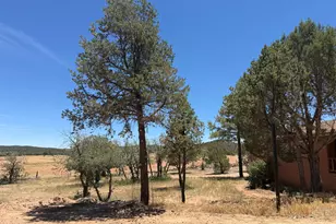1849 Rocky Ln, Show Low, AZ 85901 - Photo 32